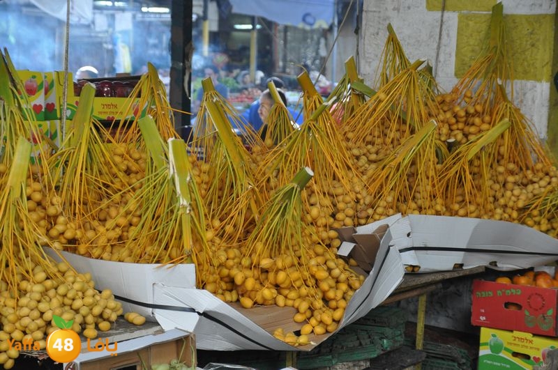 qalqelia soog (35).JPG